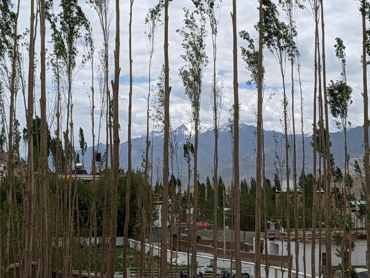 Chandan Guest House Leh Exterior photo